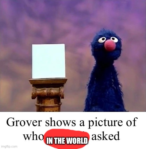 Grover: Who Asked | IN THE WORLD | image tagged in grover who asked | made w/ Imgflip meme maker