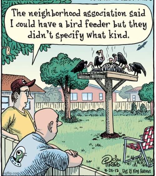 Funny, yes, but only a slight exaggeration of crazy HOAs in USA | image tagged in vince vance,memes,homeowners,association,bird feeder,vultures | made w/ Imgflip meme maker