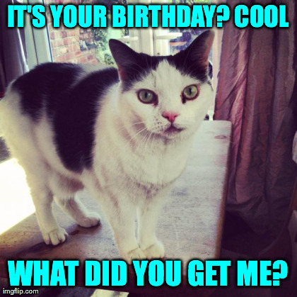 image tagged in funny,cats | made w/ Imgflip meme maker