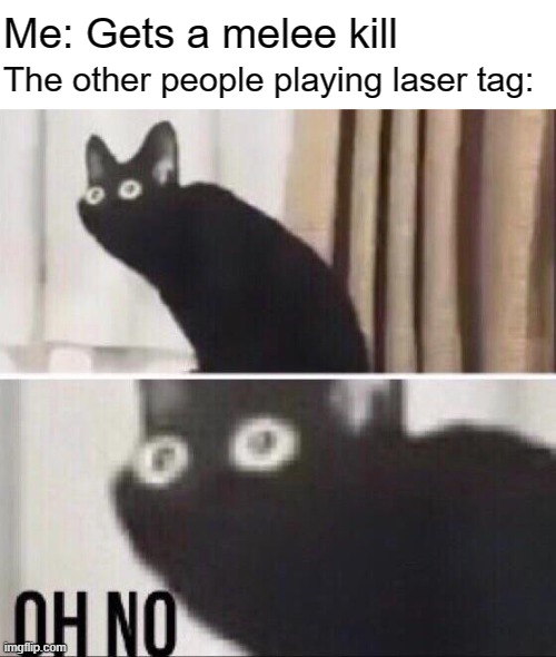 Oh crap that's not good | Me: Gets a melee kill; The other people playing laser tag: | image tagged in oh no cat,memes,funny memes,hold up,laser,melee | made w/ Imgflip meme maker