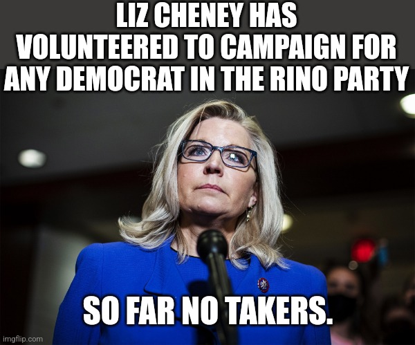 Democrats are really getting excited though. | LIZ CHENEY HAS VOLUNTEERED TO CAMPAIGN FOR ANY DEMOCRAT IN THE RINO PARTY; SO FAR NO TAKERS. | image tagged in liz cheney | made w/ Imgflip meme maker
