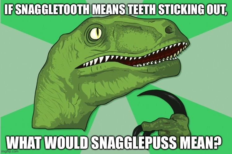 new philosoraptor | IF SNAGGLETOOTH MEANS TEETH STICKING OUT, WHAT WOULD SNAGGLEPUSS MEAN? | image tagged in new philosoraptor | made w/ Imgflip meme maker