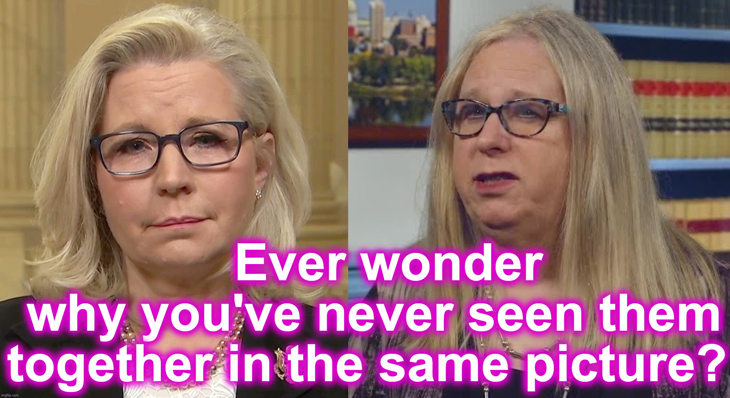 Ever wonder why you've never seen Rachel Levine and Liz Cheney together in the same picture? | Ever wonder
 why you've never seen them together in the same picture? | image tagged in doppelgnger,double,twins | made w/ Imgflip meme maker