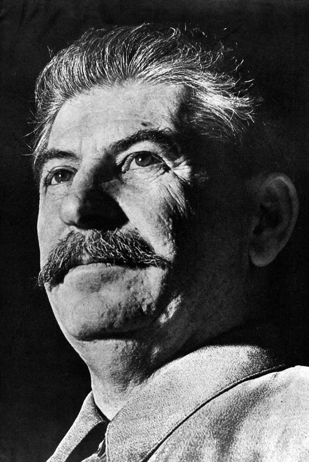 Haahaha dioporco Stalin cazzo guardi diocane Blank Meme Template