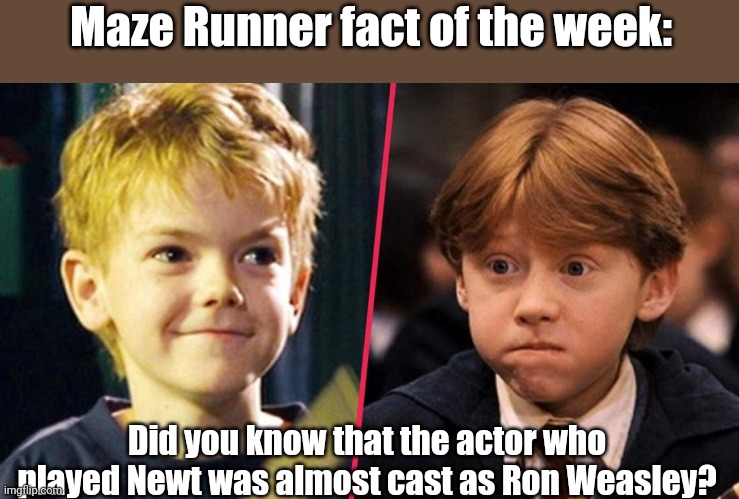 Maze Runner fact of the week! Fourth one! | Maze Runner fact of the week:; Did you know that the actor who played Newt was almost cast as Ron Weasley? | image tagged in maze runner,harry potter,omg | made w/ Imgflip meme maker