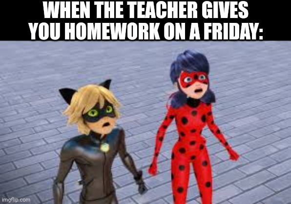 WHEN THE TEACHER GIVES YOU HOMEWORK ON A FRIDAY: | made w/ Imgflip meme maker