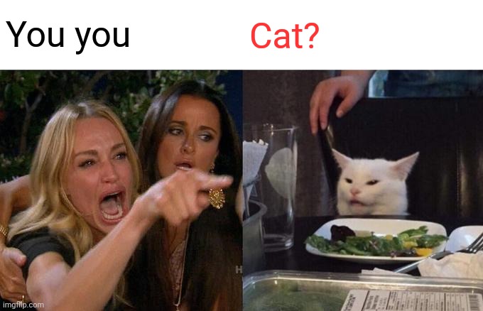 Expectation | You you; Cat? | image tagged in memes,woman yelling at cat | made w/ Imgflip meme maker