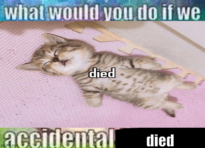 what would you do if we accidental X | died | image tagged in what would you do if we accidental x | made w/ Imgflip meme maker