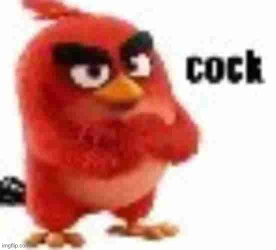 red angry birds cock Blank Meme Template