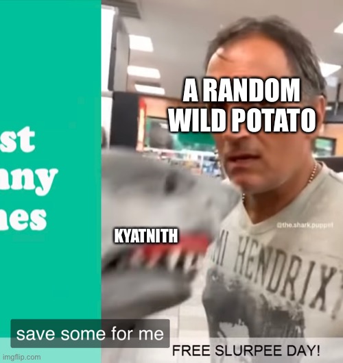 KYATNITH A RANDOM WILD POTATO | made w/ Imgflip meme maker