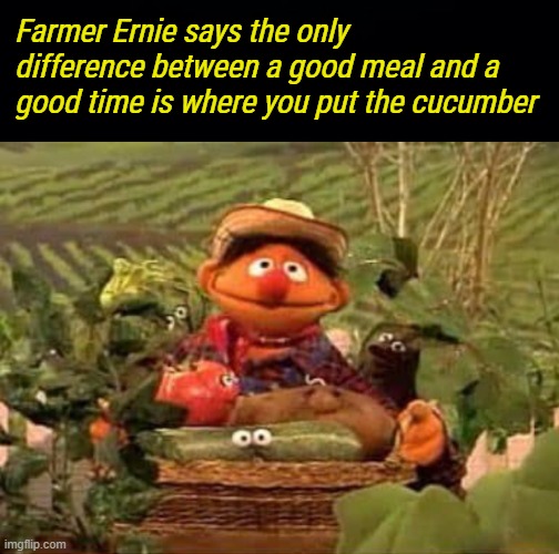 It’s either you or the mouse that’s getting fed then. | Farmer Ernie says the only difference between a good meal and a good time is where you put the cucumber | image tagged in black background | made w/ Imgflip meme maker