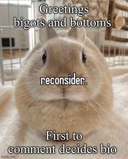 reconsider | Greetings bigots and bottoms; First to comment decides bio | image tagged in reconsider | made w/ Imgflip meme maker