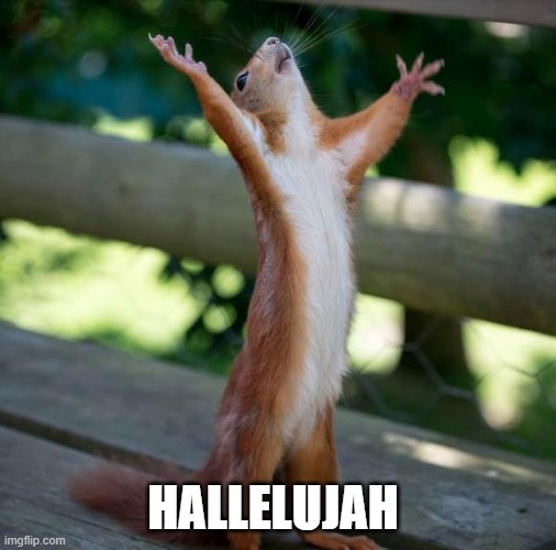 finally | HALLELUJAH | image tagged in finally | made w/ Imgflip meme maker