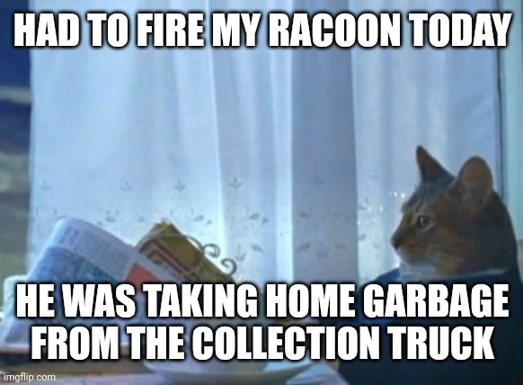 I Should Buy A Boat Cat | HAD TO FIRE MY RACOON TODAY; HE WAS TAKING HOME GARBAGE FROM THE COLLECTION TRUCK | image tagged in memes,i should buy a boat cat | made w/ Imgflip meme maker