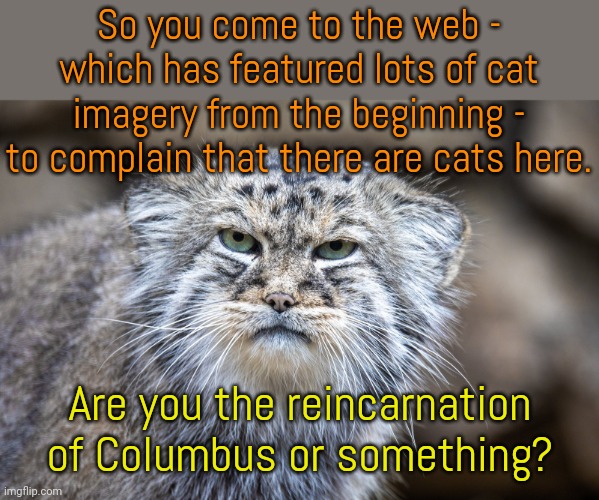 World wide whiskers | So you come to the web - which has featured lots of cat imagery from the beginning - to complain that there are cats here. Are you the reincarnation of Columbus or something? | image tagged in grumpy cat,statler and waldorf,i love cats | made w/ Imgflip meme maker