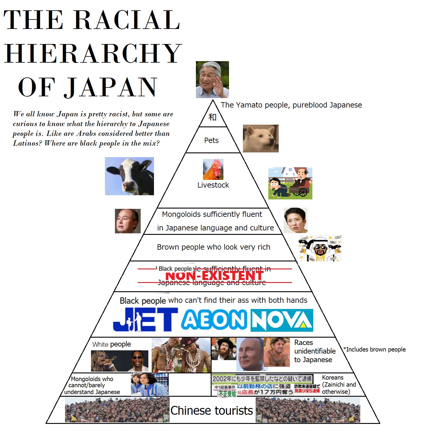 Racial hierarchy in Japan Blank Meme Template