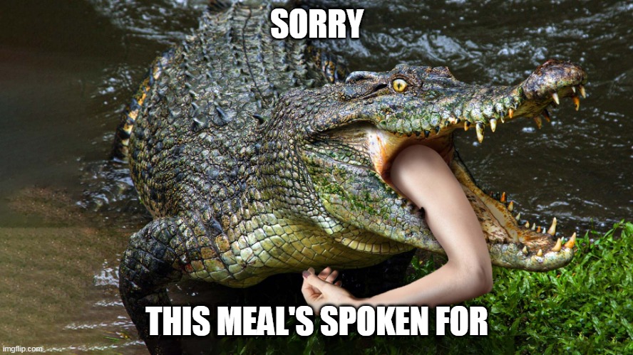 Food | SORRY; THIS MEAL'S SPOKEN FOR | image tagged in maneater,alligator,crocodile,caiman,food,meal | made w/ Imgflip meme maker