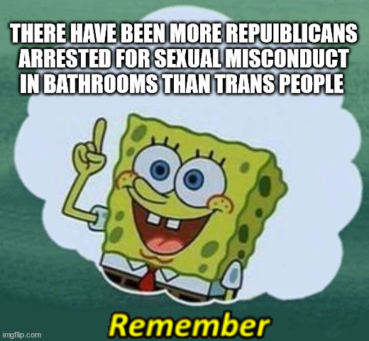 Remember | THERE HAVE BEEN MORE REPUIBLICANS ARRESTED FOR SEXUAL MISCONDUCT IN BATHROOMS THAN TRANS PEOPLE | image tagged in remember | made w/ Imgflip meme maker
