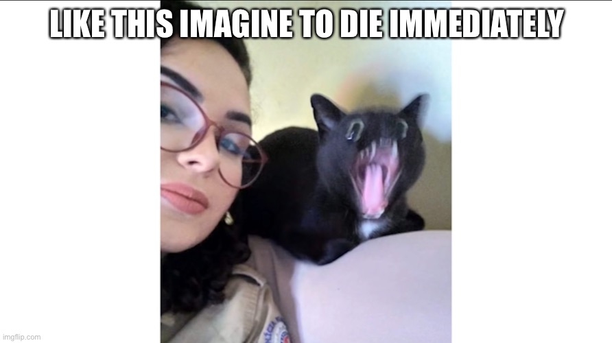 t | LIKE THIS IMAGINE TO DIE IMMEDIATELY | image tagged in t | made w/ Imgflip meme maker