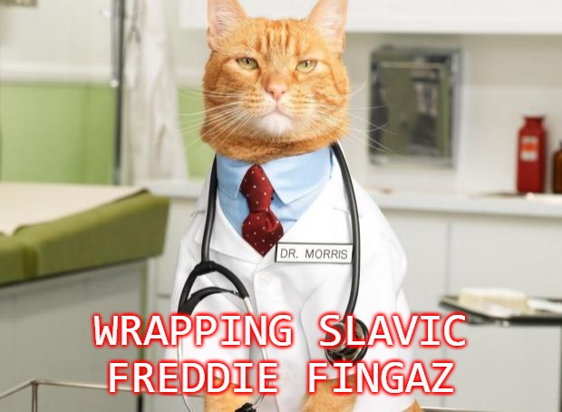 Cat Doctor | WRAPPING SLAVIC FREDDIE FINGAZ | image tagged in cat doctor,slavic,wrapping slavic freddie fingaz,freddie fingaz | made w/ Imgflip meme maker
