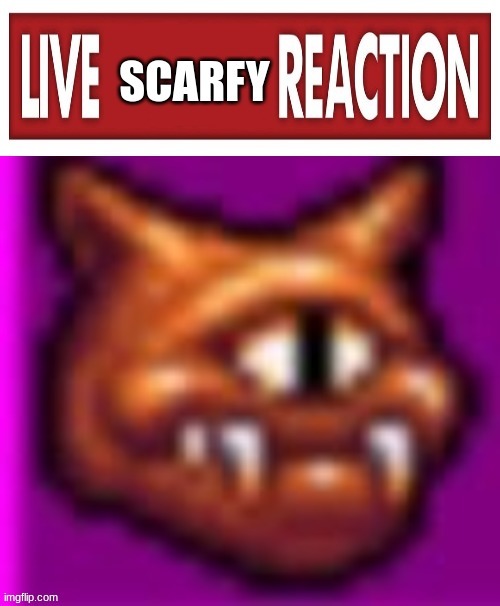 Live Scarfy Reaction | image tagged in live scarfy reaction | made w/ Imgflip meme maker