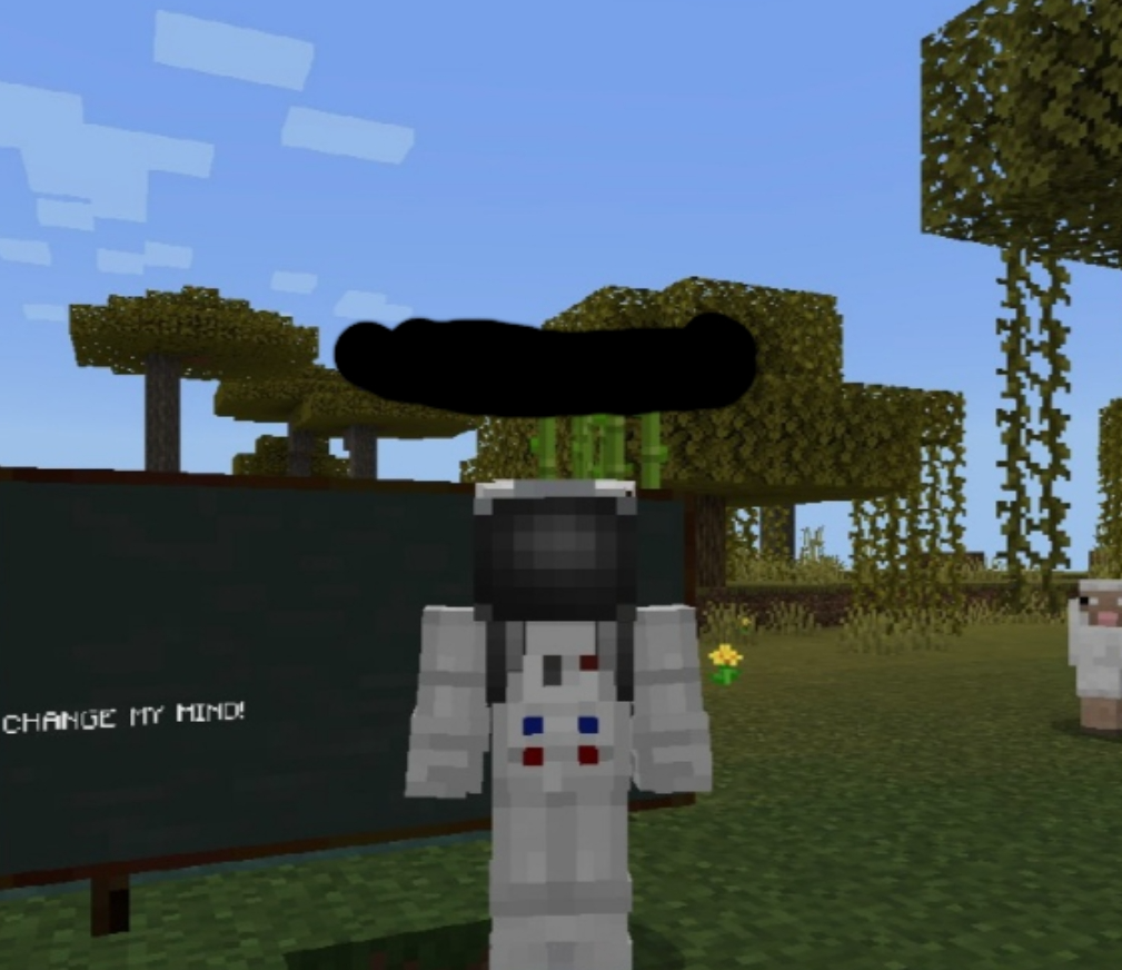 Minecraft Change My Mind Blank Meme Template