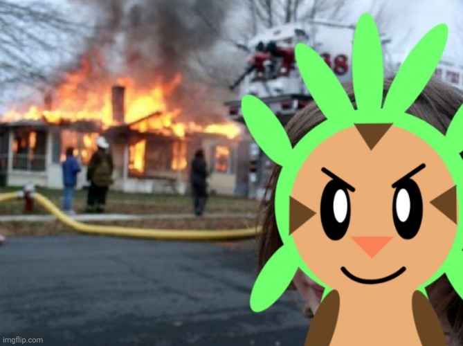 Disaster Chespin | image tagged in disaster chespin | made w/ Imgflip meme maker