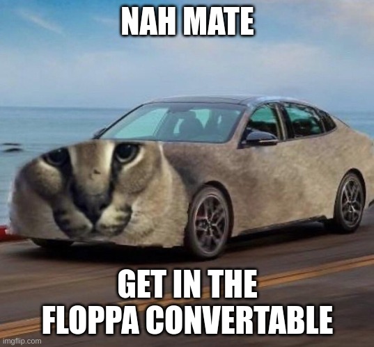 @Kill_Me_Now | NAH MATE; GET IN THE FLOPPA CONVERTABLE | image tagged in memes,funny,floppa,convertible,typo,too many tags | made w/ Imgflip meme maker