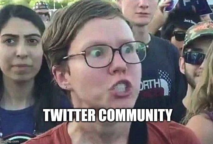 Triggered Liberal | TWITTER COMMUNITY | image tagged in triggered liberal | made w/ Imgflip meme maker