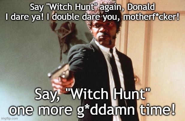 Witch Hunt | Say "Witch Hunt" again, Donald
I dare ya! I double dare you, motherf*cker! Say, "Witch Hunt" one more g*ddamn time! | image tagged in i double dare you | made w/ Imgflip meme maker