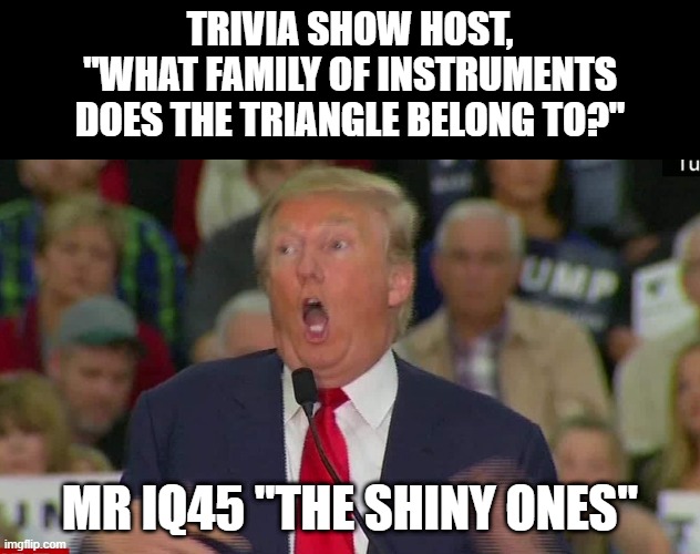 IQ45 Trivia contestant | TRIVIA SHOW HOST,
"WHAT FAMILY OF INSTRUMENTS
DOES THE TRIANGLE BELONG TO?"; MR IQ45 "THE SHINY ONES" | image tagged in trump,stupid | made w/ Imgflip meme maker