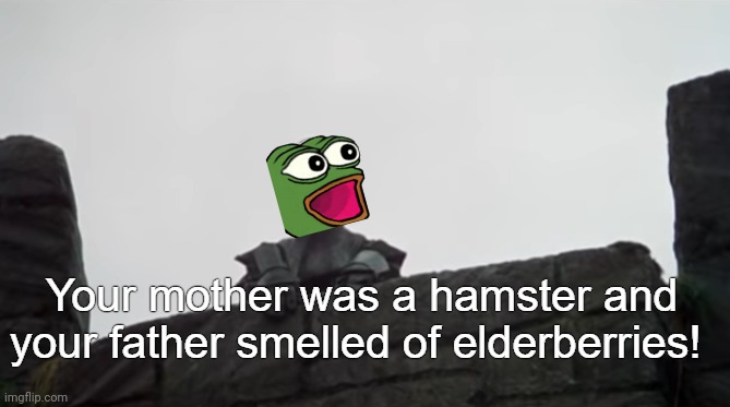 Your mother was a hamster | image tagged in your mother was a hamster | made w/ Imgflip meme maker