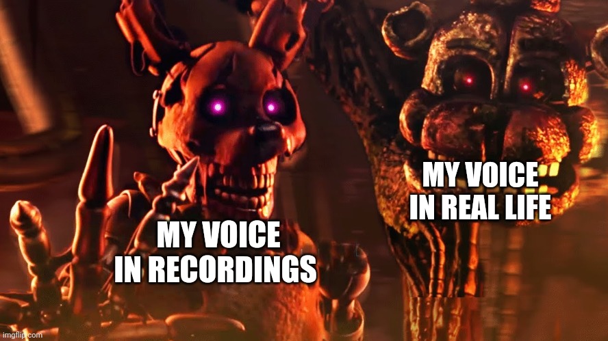Uhhhhh | MY VOICE IN REAL LIFE; MY VOICE IN RECORDINGS | image tagged in burntrap and the blob | made w/ Imgflip meme maker