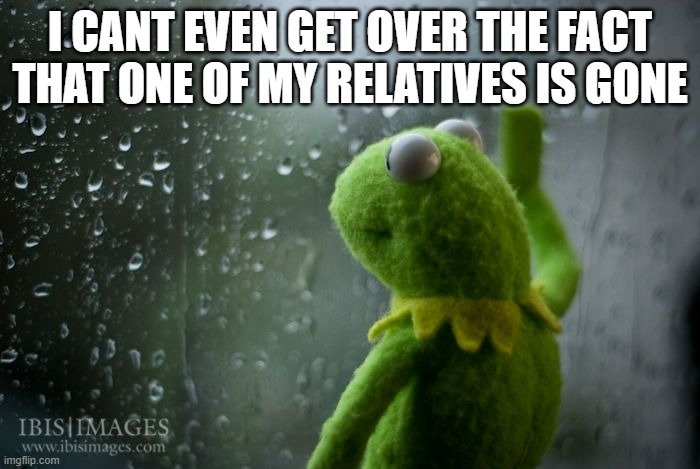 I'm hurting so bad right now and stressed out of my mind so badly that i cant even think | I CANT EVEN GET OVER THE FACT THAT ONE OF MY RELATIVES IS GONE | image tagged in kermit window,memes,heartbroken,sad meme,sad but true | made w/ Imgflip meme maker
