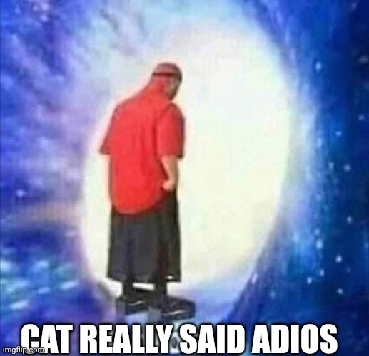 Adios | CAT REALLY SAID ADIOS | image tagged in adios | made w/ Imgflip meme maker