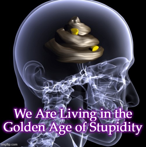 Golden Age |  We Are Living in the Golden Age of Stupidity | image tagged in stupid,stupid people,stupidity,fools,morons,idiots | made w/ Imgflip meme maker