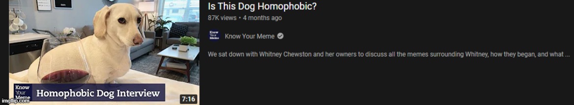 is it | image tagged in memes,dog | made w/ Imgflip meme maker