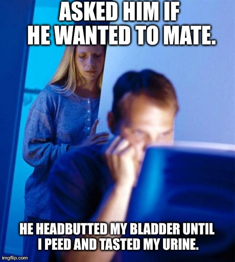 Redditor's Wife | ASKED HIM IF HE WANTED TO MATE. HE HEADBUTTED MY BLADDER UNTIL I PEED AND TASTED MY URINE. | image tagged in memes,redditors wife | made w/ Imgflip meme maker