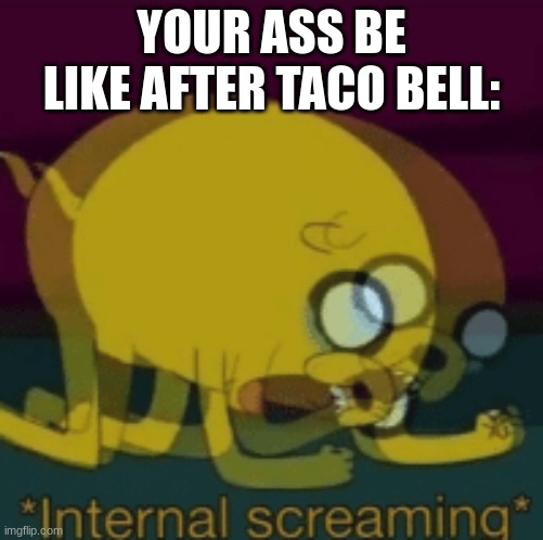 the meme that describes us | YOUR ASS BE LIKE AFTER TACO BELL: | image tagged in jake the dog internal screaming | made w/ Imgflip meme maker