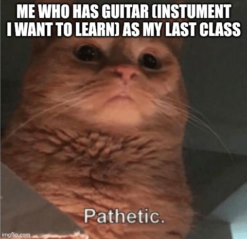 Pathetic Cat | ME WHO HAS GUITAR (INSTUMENT I WANT TO LEARN) AS MY LAST CLASS | image tagged in pathetic cat | made w/ Imgflip meme maker