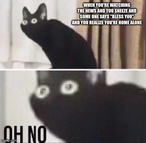 oh shit | WHEN YOU'RE WATCHING THE NEWS AND YOU SNEEZE AND SOME ONE SAYS "BLESS YOU" AND YOU REALIZE YOU'RE HOME ALONE | image tagged in oh no cat | made w/ Imgflip meme maker