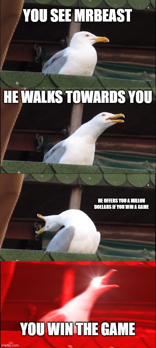 Inhaling Seagull | YOU SEE MRBEAST; HE WALKS TOWARDS YOU; HE OFFERS YOU A MILLON DOLLARS IF YOU WIN A GAME; YOU WIN THE GAME | image tagged in memes,inhaling seagull | made w/ Imgflip meme maker