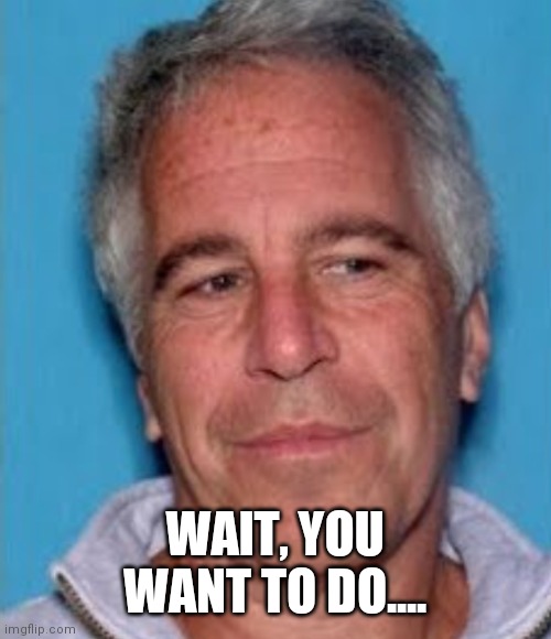 Epstein mugshot | WAIT, YOU WANT TO DO.... | image tagged in epstein mugshot | made w/ Imgflip meme maker