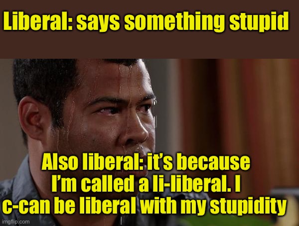 Idiots | Liberal: says something stupid; Also liberal: it’s because I’m called a li-liberal. I c-can be liberal with my stupidity | image tagged in sweating bullets | made w/ Imgflip meme maker