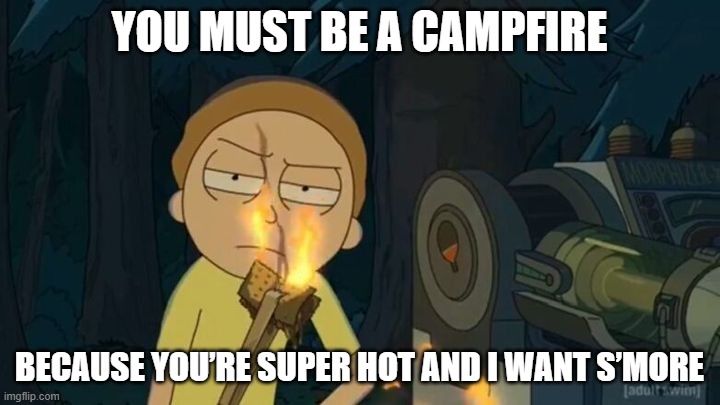 Morty | YOU MUST BE A CAMPFIRE; BECAUSE YOU’RE SUPER HOT AND I WANT S’MORE | image tagged in morty | made w/ Imgflip meme maker