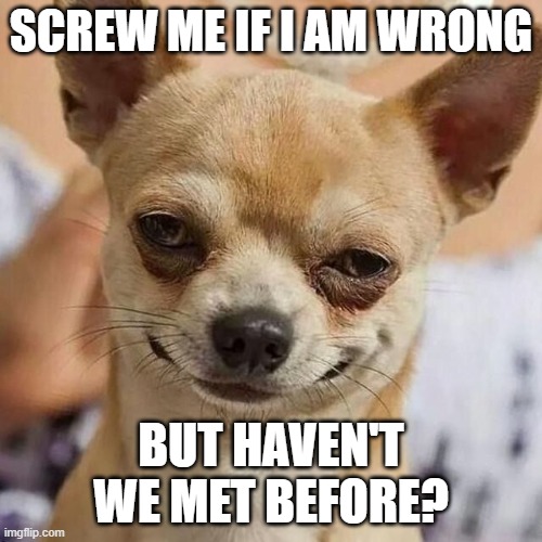 Smirking Dog | SCREW ME IF I AM WRONG; BUT HAVEN'T WE MET BEFORE? | image tagged in smirking dog | made w/ Imgflip meme maker