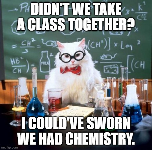 Chemistry Cat Meme | DIDN'T WE TAKE A CLASS TOGETHER? I COULD'VE SWORN WE HAD CHEMISTRY. | image tagged in memes,chemistry cat | made w/ Imgflip meme maker