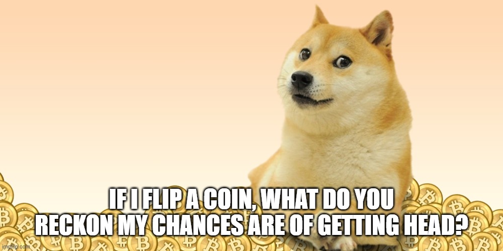 Doge Coin | IF I FLIP A COIN, WHAT DO YOU RECKON MY CHANCES ARE OF GETTING HEAD? | image tagged in doge coin | made w/ Imgflip meme maker
