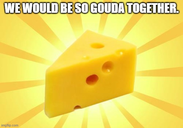Cheese Time | WE WOULD BE SO GOUDA TOGETHER. | image tagged in cheese time | made w/ Imgflip meme maker