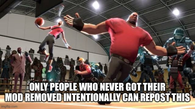 Tf2 Ballin | ONLY PEOPLE WHO NEVER GOT THEIR MOD REMOVED INTENTIONALLY CAN REPOST THIS | image tagged in tf2 ballin | made w/ Imgflip meme maker